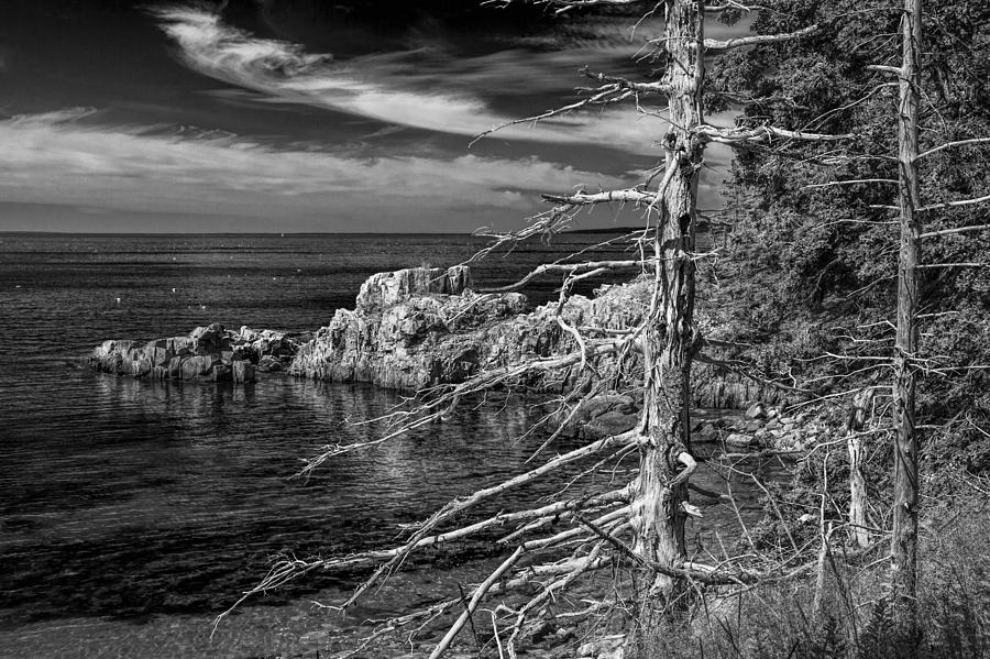 Trees and Shoreline Rock Formations in Acadia National Park Photograph by Randall Nyhof