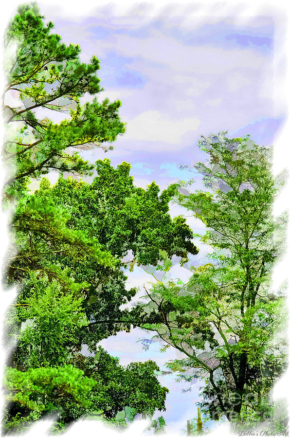 Trees and sky Digital Paint Photograph by Debbie Portwood