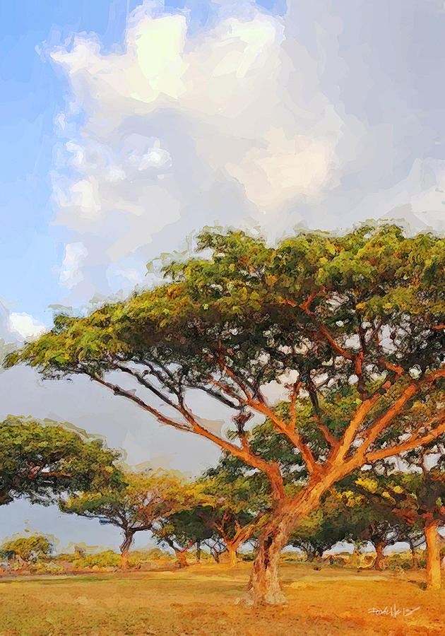 Trees and Sky - Kona HI Digital Art by Jim Pavelle