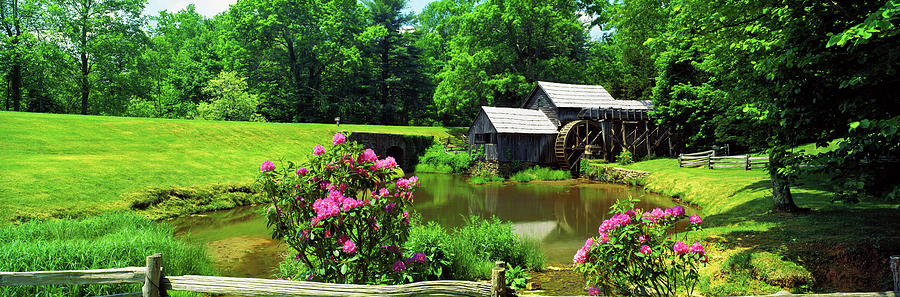 Trees Around A Watermill, Mabry Mill Photograph by Panoramic Images