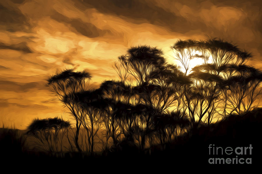 Trees at Sunset Photograph by Sheila Smart Fine Art Photography
