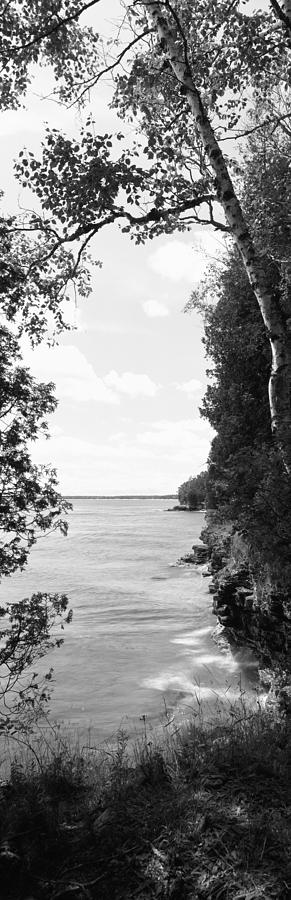 Black And White Photograph - Trees At The Lakeside, Cave Point by Panoramic Images