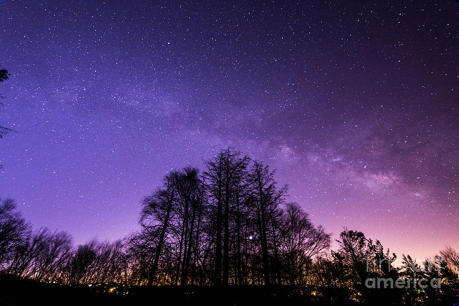 Trees Below The Milky Way Photograph by Robert Loe