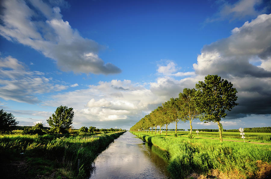 Trees In A Dutch Polder Photograph by Www.magiclandscapes.nl
