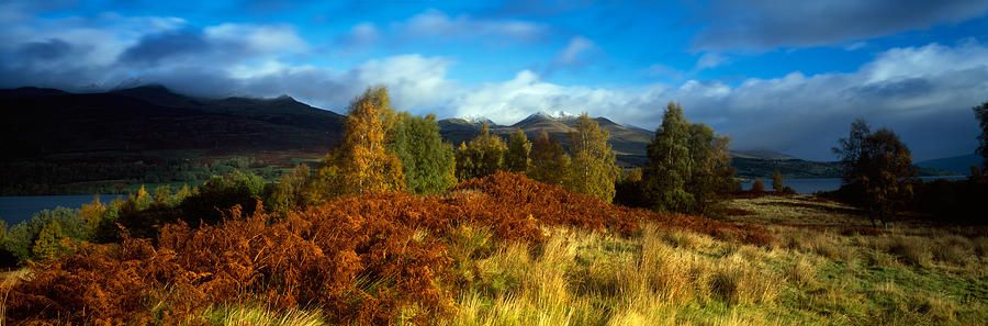 Trees In A Field, Loch Tay, Scotland Photograph by Panoramic Images