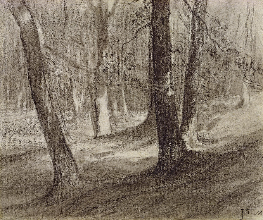 Trees in a forest Drawing by Jean-Francois Millet