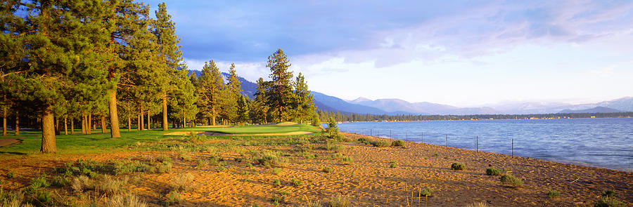 Trees In A Golf Course, Edgewood Tahoe Photograph by Panoramic Images