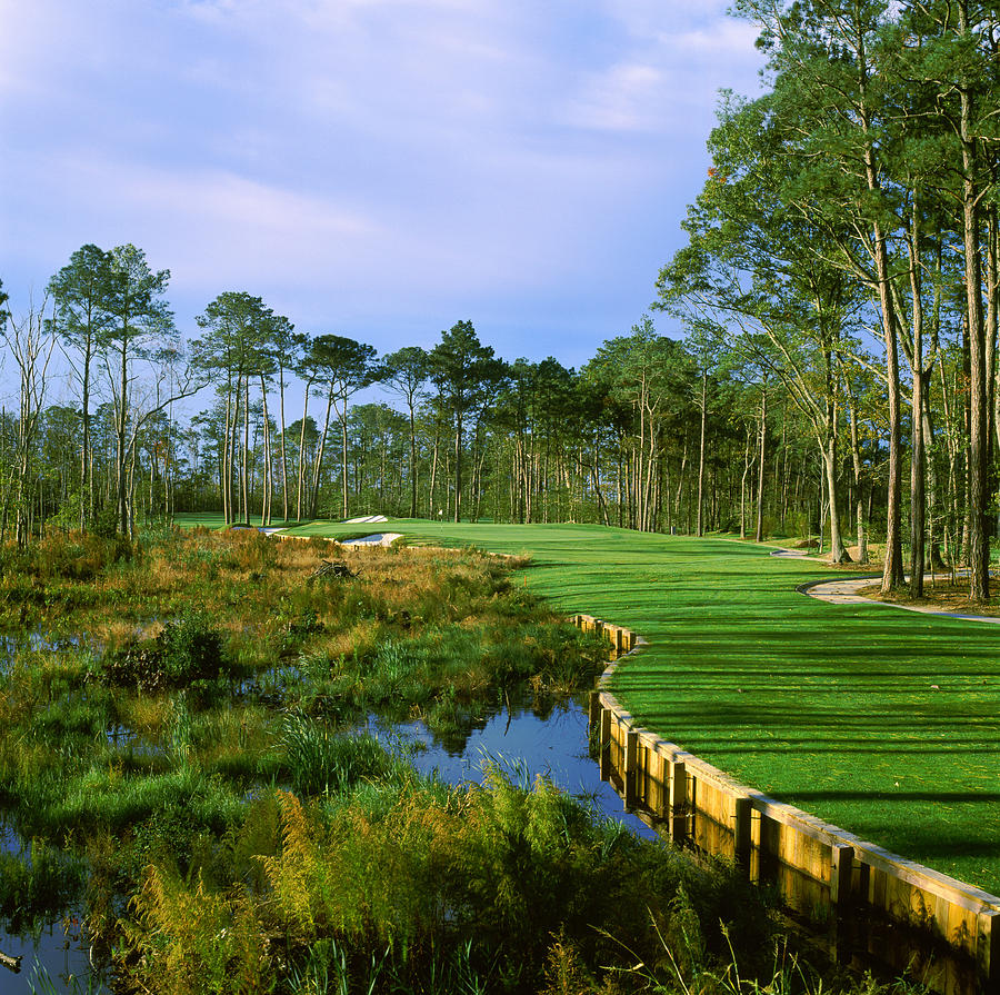 Trees In A Golf Course, Kilmarlic Golf Photograph by Panoramic Images