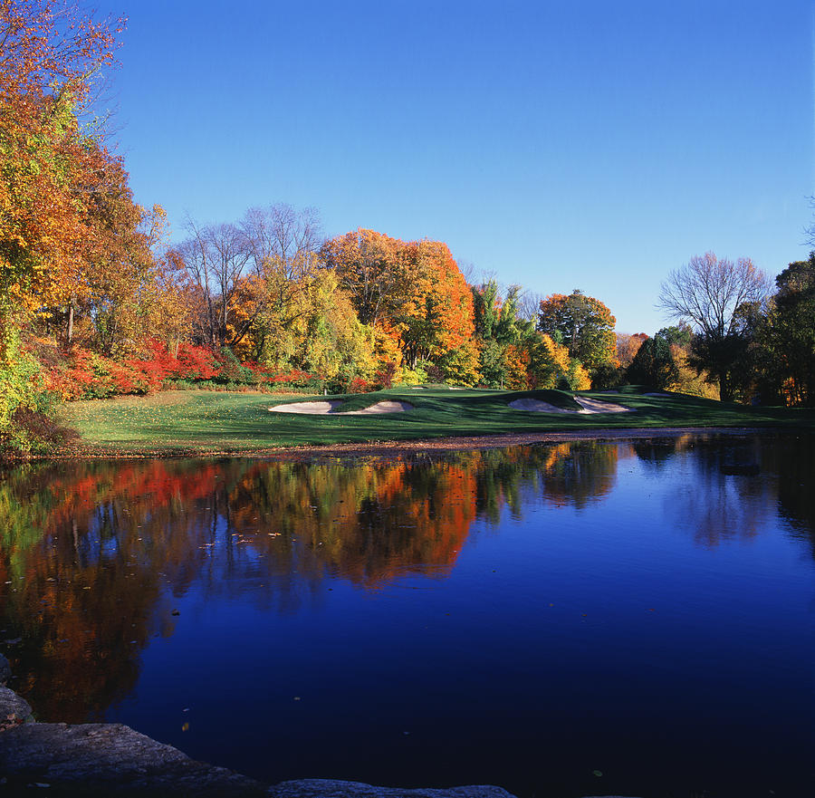 Trees In A Golf Course, Patterson Club Photograph by Panoramic Images