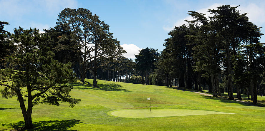 Golf Photograph - Trees In A Golf Course, Presidio Golf by Panoramic Images