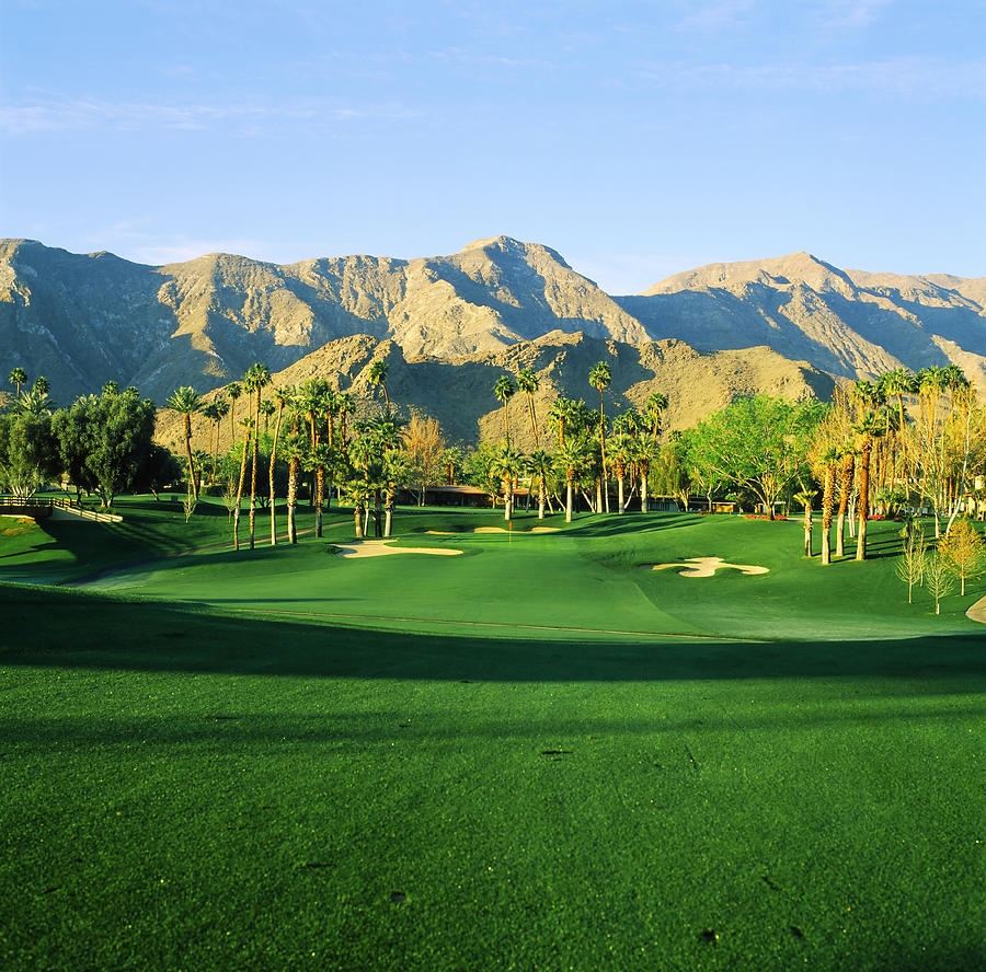 Trees In A Golf Course With A Mountain Photograph by Panoramic Images ...