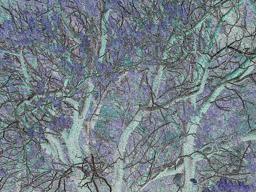 Trees in Celadon and Lavender Photograph by Stephanie Grant