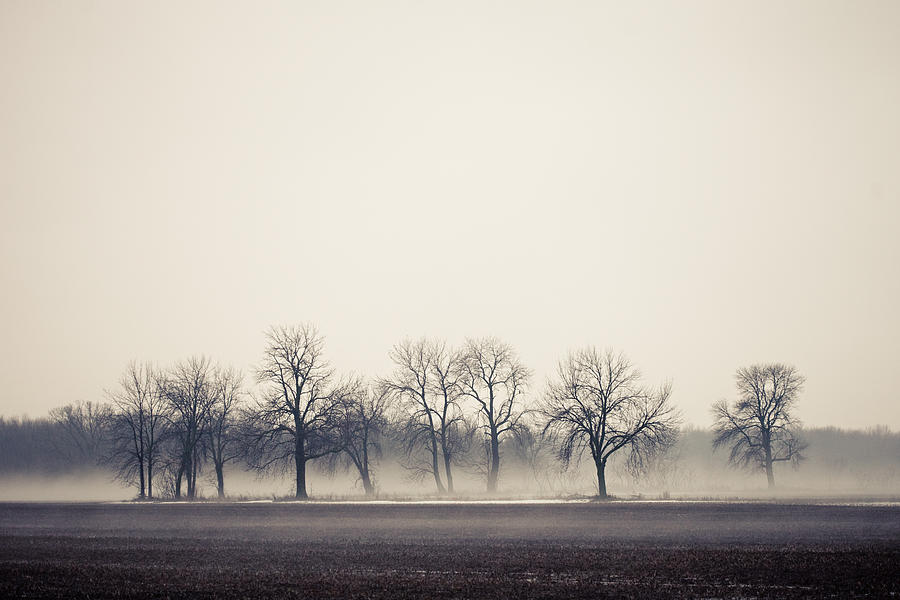 Trees in Fog Photograph by Valerie Dietsche - Fine Art America