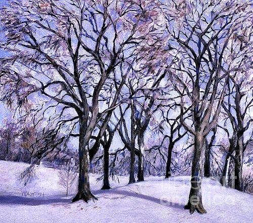 Trees in Snow Painting by Nancy Wait