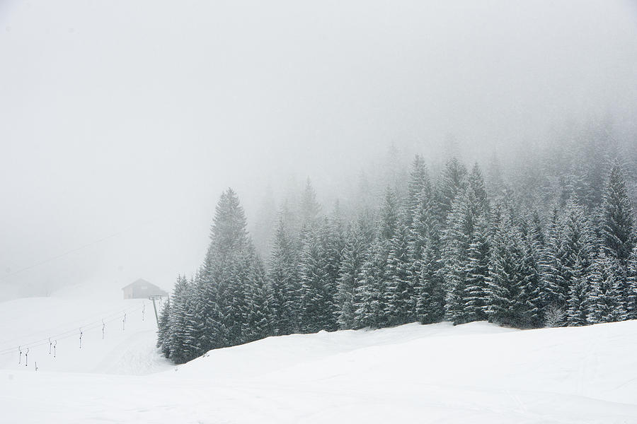 Trees in the fog - minimalist winter landscape Photograph by Matthias Hauser