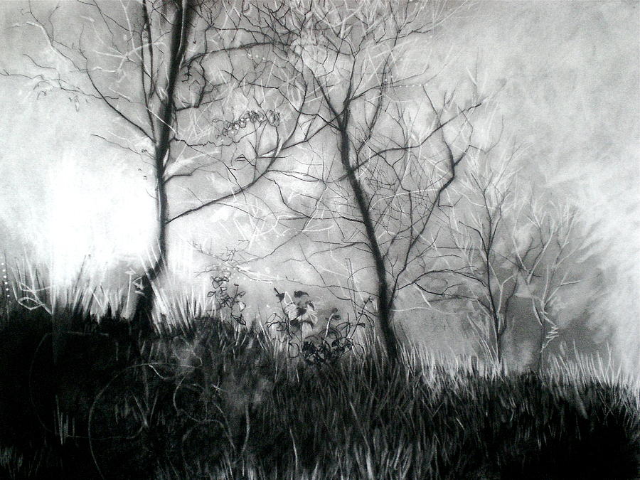 Trees in the Mist Drawing by Sharlena Wood | Fine Art America