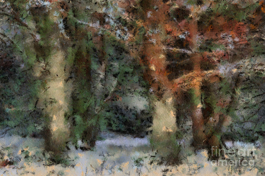 Trees in the wintery forest Digital Art by Gina Koch