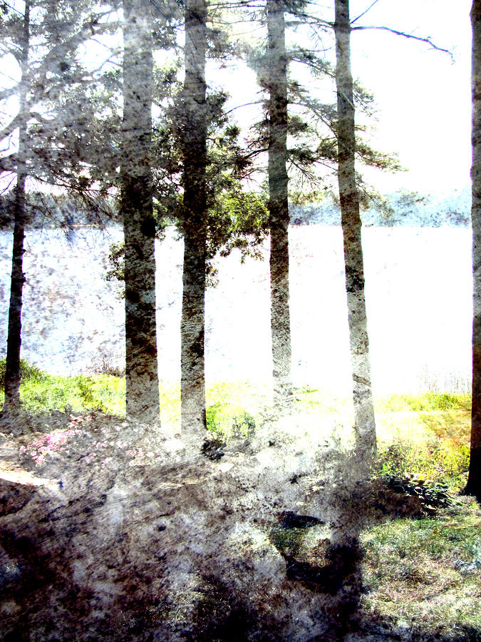 Trees Lake Light Tall w metal Digital Art by Anita Burgermeister