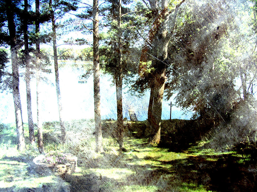 Trees Lake Light Wide W Metal Digital Art