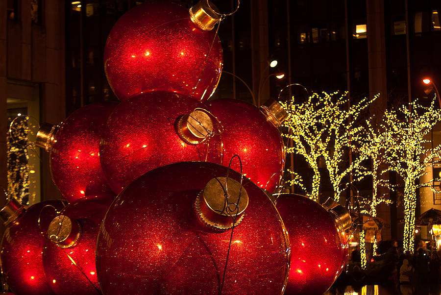 Trees Lights and Ornaments Photograph by Paul Mangold