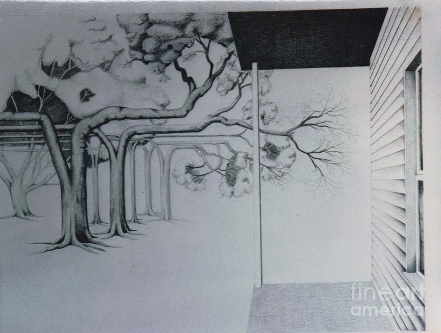 Trees of Beams Drawing by David Neace CPX