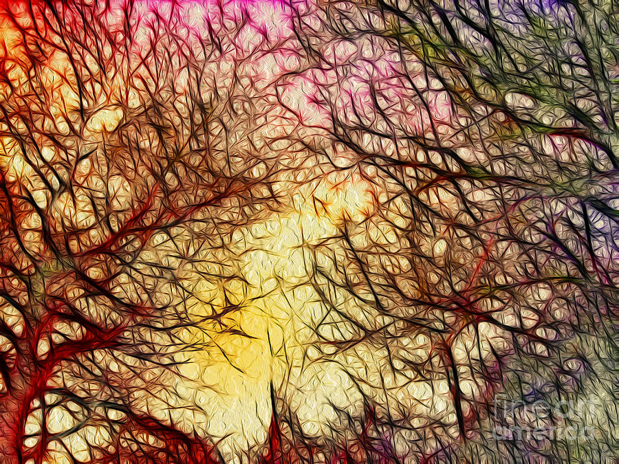 Trees of the Four Seasons Digital Art by Kaye Menner