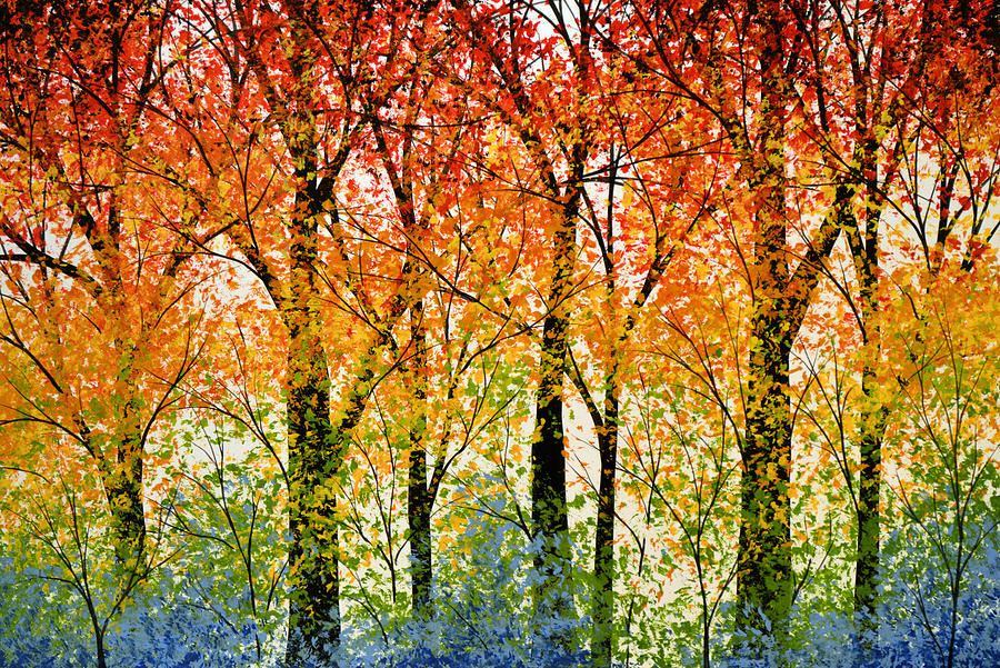 Trees of the Rainbow Painting by Amy Giacomelli