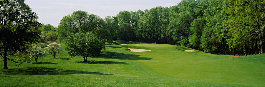 Baltimore Photograph - Trees On A Golf Course, Baltimore by Panoramic Images