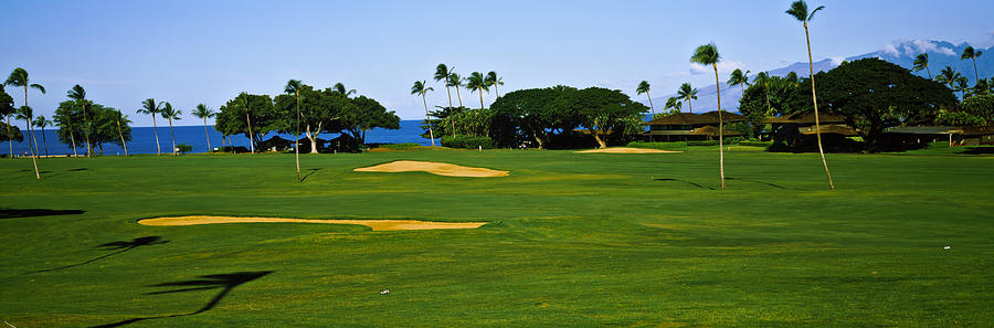 Trees On A Golf Course,kaanapali Golf Photograph by Panoramic Images