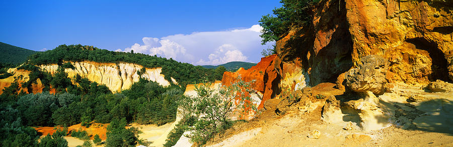 Nature Photograph - Trees On A Hill, Colorado Provencal by Panoramic Images