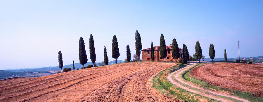 Architecture Photograph - Trees On A Hill, Pienza, Siena by Panoramic Images
