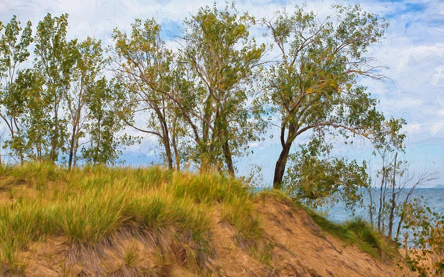Indiana Dunes National Lakeshore Photograph - Trees on a Sand Dune Overlooking Lake Michigan by John M Bailey