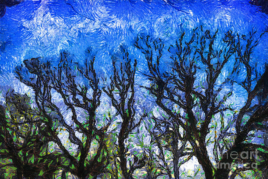 Vincent Van Gogh Digital Art - Trees on Blue Night Sky Digital Painting Artwork by Amy Cicconi