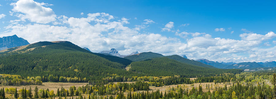 Nature Photograph - Trees On Canadian Rockies Along Route by Panoramic Images