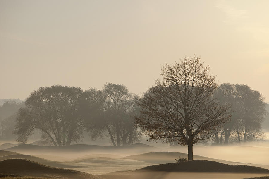 Fall Photograph - Trees On Golf Course At Sunrise On A by Ron Bouwhuis