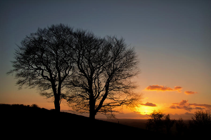 Sunset Photograph - Trees on Raddon Top by Pete Hemington
