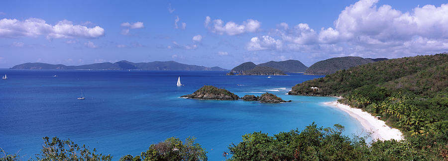 Virgin Islands National Park Photograph - Trees On The Coast, Trunk Bay, Virgin by Panoramic Images