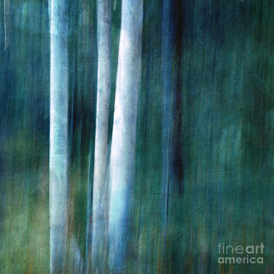 Abstract Photograph - The woods are lovely dark and deep by Priska Wettstein