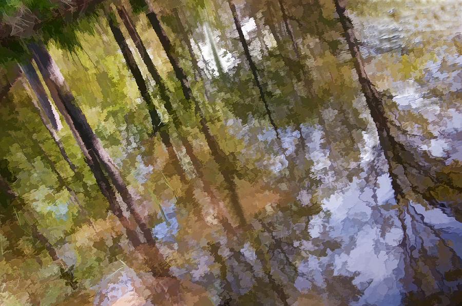 Trees Reflected Watercolor Photograph by Phyllis Meinke