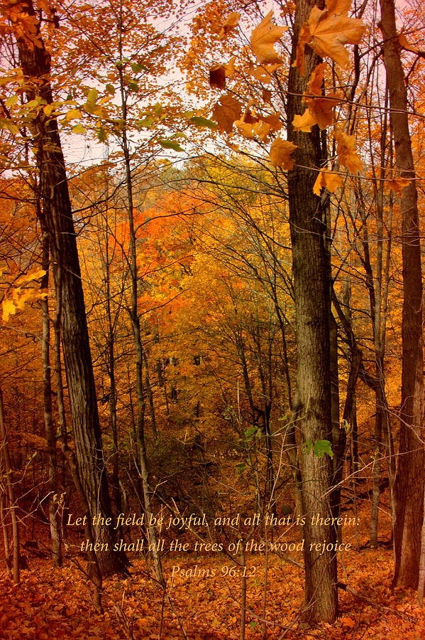 Trees Rejoice Photograph by Debbie Nobile - Fine Art America