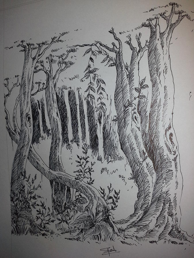 Tree Drawing - Trees by Suryavo Pal