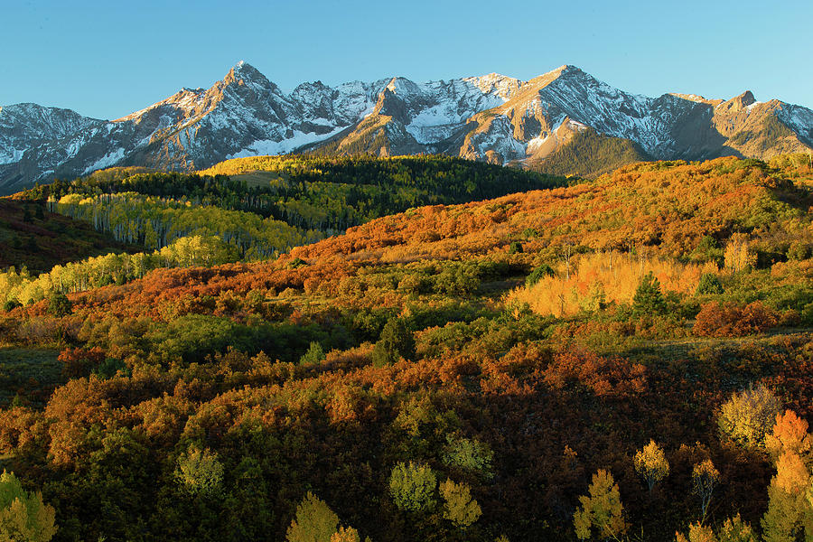 Trees With Mountain Range Photograph by Panoramic Images - Fine Art America