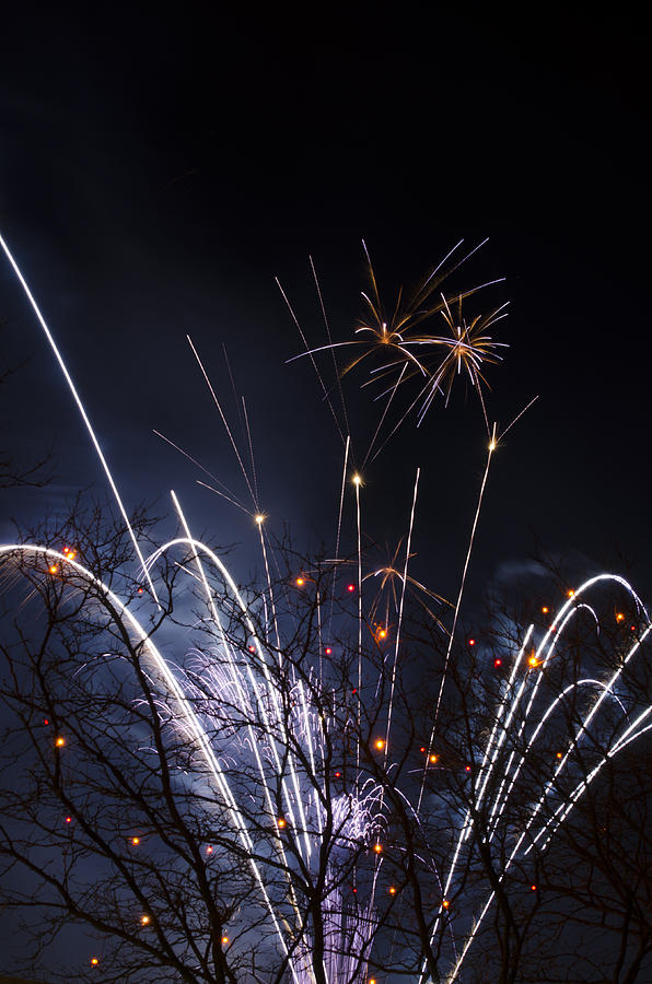 Treetop Fireworks Vectors Photograph by James La Mere - Fine Art America