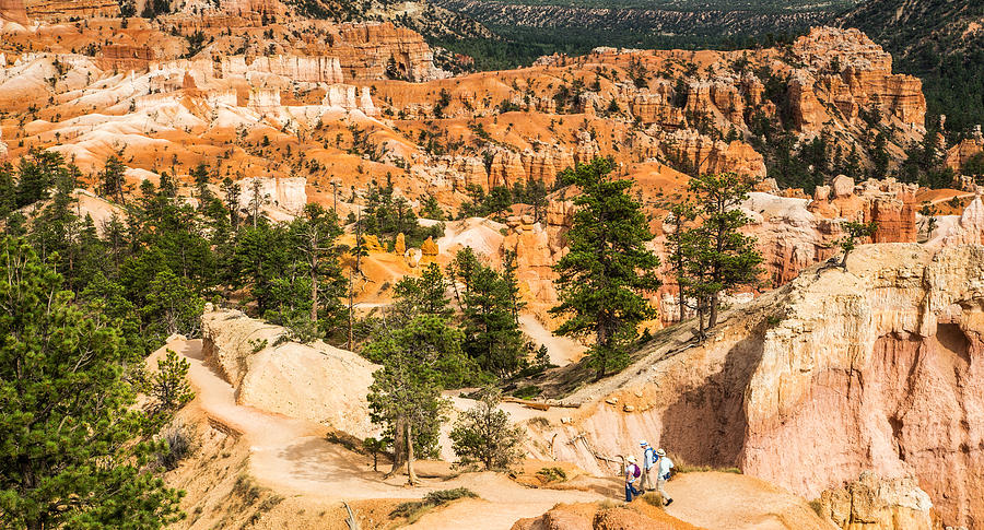 Trekking in Bryce Photograph by Levin Rodriguez