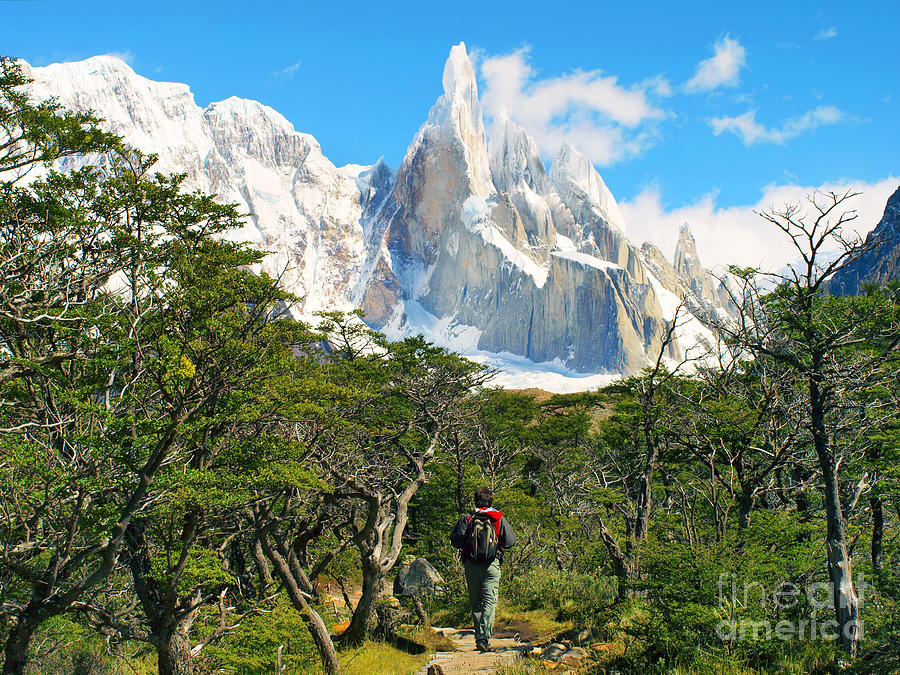 Trekking in Patagonia Photograph by JR Photography