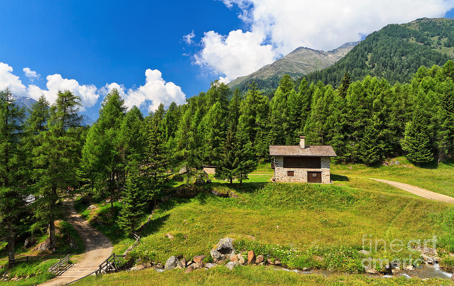 Trentino - high Pejo valley Photograph by Antonio Scarpi