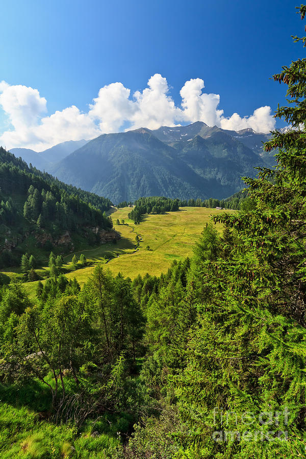 Trentino - Pejo valley Photograph by Antonio Scarpi