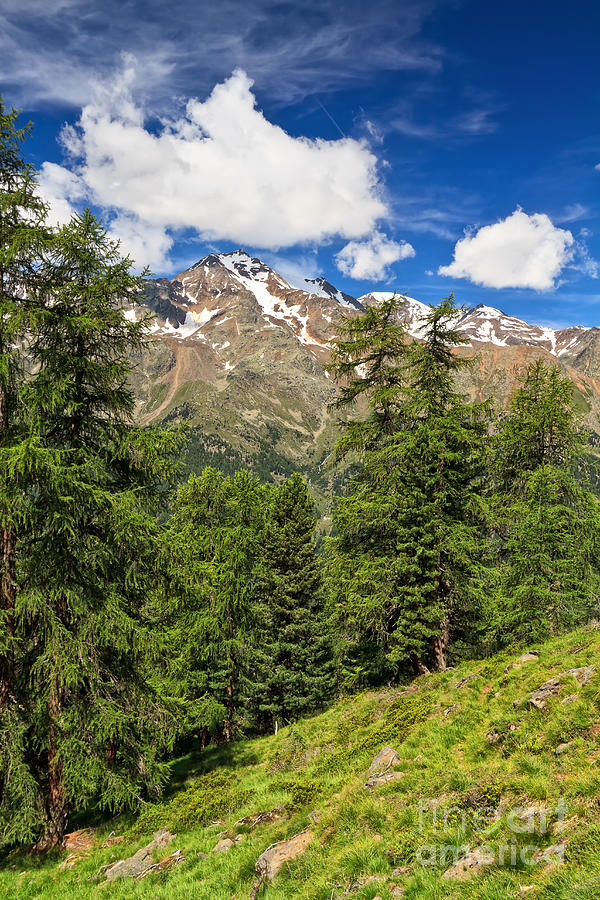 Trentino - Pejo valley on summer Photograph by Antonio Scarpi