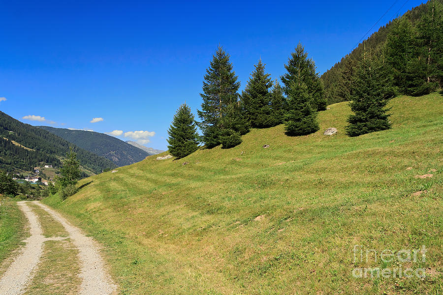 Nature Photograph - Trentino - Val di Sole by Antonio Scarpi