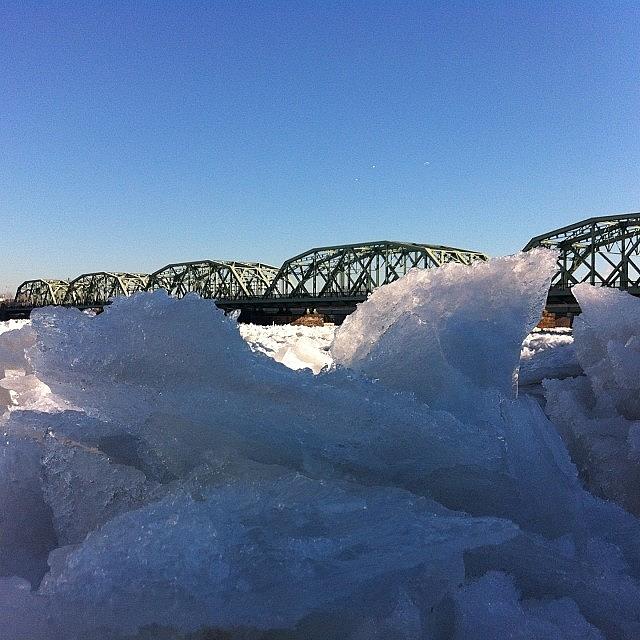 Winter Photograph - Trenton Bridge Shot From Water Level by Traci Law